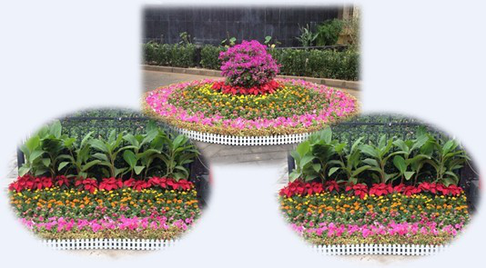 1614763786112661.png image.png