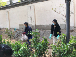 1614764897675082.png image.png